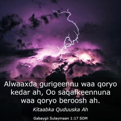 Picture 03 - Gabaygii Sulaymaan 1:17 SOM - Alwaaxda gurigeennu waa qoryo kedar ah, Oo - Bible Verse Picture