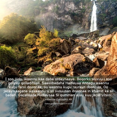 Picture 03 - Gabaygii Sulaymaan 1:4 SOM - I soo jiido, waannu kaa daba ordaynaaye. Boqorkii - Bible Verse Picture