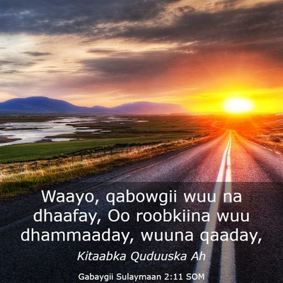 Picture 03 - Gabaygii Sulaymaan 2:11 SOM - Waayo, qabowgii wuu na dhaafay, Oo roobkiina wuu - Bible Verse Picture