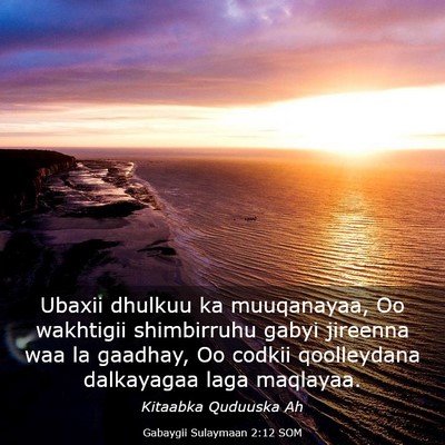 Picture 03 - Gabaygii Sulaymaan 2:12 SOM - Ubaxii dhulkuu ka muuqanayaa, Oo wakhtigii - Bible Verse Picture
