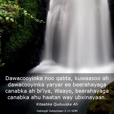 Picture 03 - Gabaygii Sulaymaan 2:15 SOM - Dawacooyinka noo qabta, kuwaasoo ah dawacooyinka - Bible Verse Picture