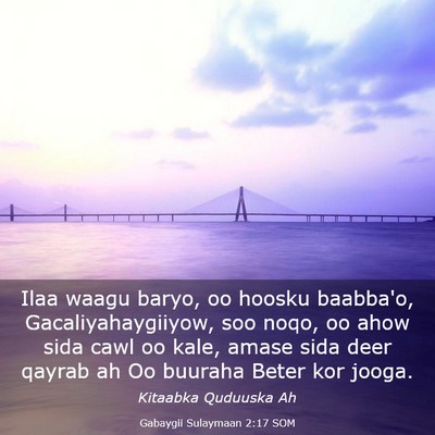Picture 03 - Gabaygii Sulaymaan 2:17 SOM - Ilaa waagu baryo, oo hoosku baabba'o, - Bible Verse Picture