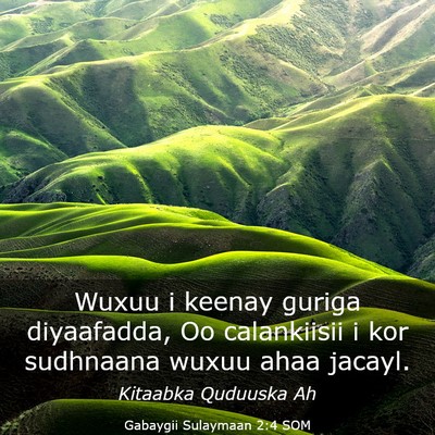 Picture 03 - Gabaygii Sulaymaan 2:4 SOM - Wuxuu i keenay guriga diyaafadda, Oo calankiisii - Bible Verse Picture