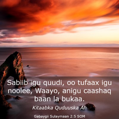Picture 03 - Gabaygii Sulaymaan 2:5 SOM - Sabiib igu quudi, oo tufaax igu noolee, Waayo, - Bible Verse Picture