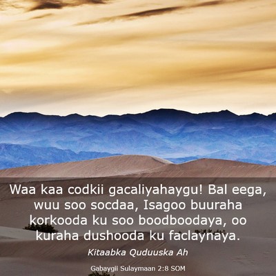 Picture 03 - Gabaygii Sulaymaan 2:8 SOM - Waa kaa codkii gacaliyahaygu! Bal eega, wuu soo - Bible Verse Picture