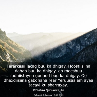 Picture 03 - Gabaygii Sulaymaan 3:10 SOM - Tiirarkiisii lacag buu ka dhigay, Hoostiisiina - Bible Verse Picture