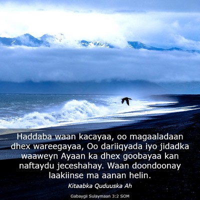 Picture 03 - Gabaygii Sulaymaan 3:2 SOM - Haddaba waan kacayaa, oo magaaladaan dhex - Bible Verse Picture