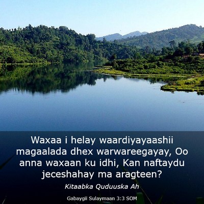 Picture 03 - Gabaygii Sulaymaan 3:3 SOM - Waxaa i helay waardiyayaashii magaalada dhex - Bible Verse Picture