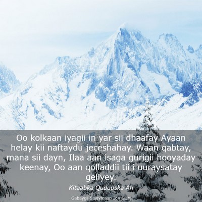Picture 03 - Gabaygii Sulaymaan 3:4 SOM - Oo kolkaan iyagii in yar sii dhaafay Ayaan helay - Bible Verse Picture