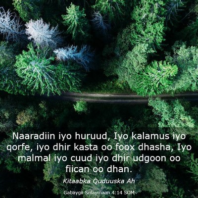 Picture 03 - Gabaygii Sulaymaan 4:14 SOM - Naaradiin iyo huruud, Iyo kalamus iyo qorfe, iyo - Bible Verse Picture