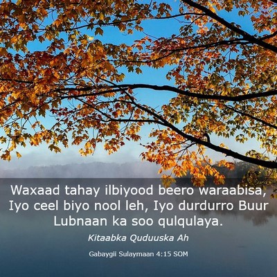 Picture 03 - Gabaygii Sulaymaan 4:15 SOM - Waxaad tahay ilbiyood beero waraabisa, Iyo ceel - Bible Verse Picture