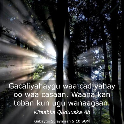 Picture 03 - Gabaygii Sulaymaan 5:10 SOM - Gacaliyahaygu waa cad yahay oo waa casaan. Waana - Bible Verse Picture