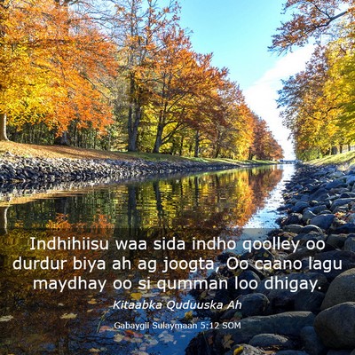 Picture 03 - Gabaygii Sulaymaan 5:12 SOM - Indhihiisu waa sida indho qoolley oo durdur biya - Bible Verse Picture