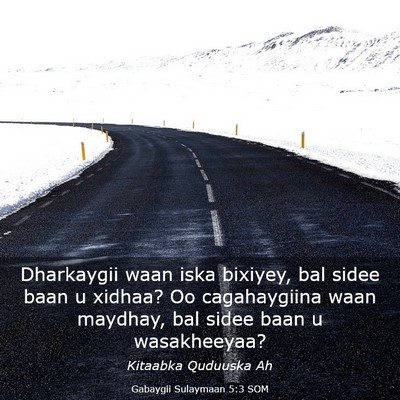 Picture 03 - Gabaygii Sulaymaan 5:3 SOM - Dharkaygii waan iska bixiyey, bal sidee baan u - Bible Verse Picture