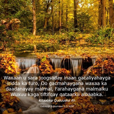 Picture 03 - Gabaygii Sulaymaan 5:5 SOM - Waxaan u sara joogsaday inaan gacaliyahayga - Bible Verse Picture