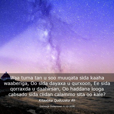Picture 03 - Gabaygii Sulaymaan 6:10 SOM - Waa tuma tan u soo muuqata sida kaaha waaberiga, - Bible Verse Picture