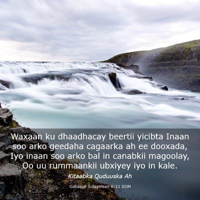 Picture 03 - Gabaygii Sulaymaan 6:11 SOM - Waxaan ku dhaadhacay beertii yicibta Inaan soo - Bible Verse Picture