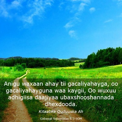 Picture 03 - Gabaygii Sulaymaan 6:3 SOM - Anigu waxaan ahay tii gacaliyahayga, oo - Bible Verse Picture