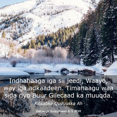 Picture 03 - Gabaygii Sulaymaan 6:5 SOM - Indhahaaga iga sii jeedi, Waayo, way iga - Bible Verse Picture