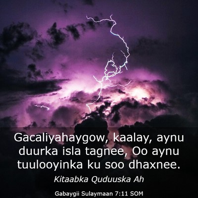 Picture 03 - Gabaygii Sulaymaan 7:11 SOM - Gacaliyahaygow, kaalay, aynu duurka isla tagnee, - Bible Verse Picture