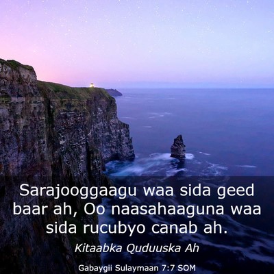 Picture 03 - Gabaygii Sulaymaan 7:7 SOM - Sarajooggaagu waa sida geed baar ah, Oo - Bible Verse Picture