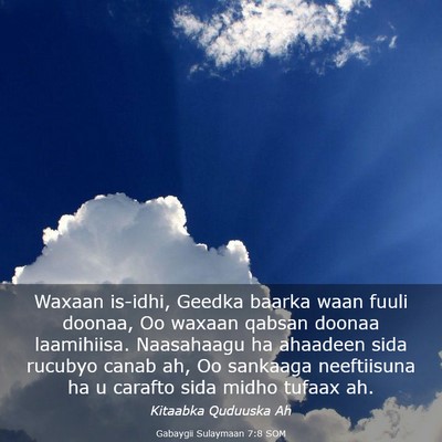 Picture 03 - Gabaygii Sulaymaan 7:8 SOM - Waxaan is-idhi, Geedka baarka waan fuuli doonaa, - Bible Verse Picture