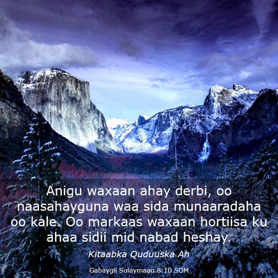 Picture 03 - Gabaygii Sulaymaan 8:10 SOM - Anigu waxaan ahay derbi, oo naasahayguna waa sida - Bible Verse Picture