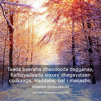 Picture 03 - Gabaygii Sulaymaan 8:13 SOM - Taada beeraha dhexdooda degganay, Rafiiqyadaadu - Bible Verse Picture