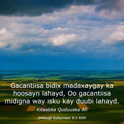 Picture 03 - Gabaygii Sulaymaan 8:3 SOM - Gacantiisa bidix madaxaygay ka hoosayn lahayd, Oo - Bible Verse Picture