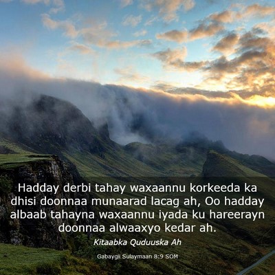 Picture 03 - Gabaygii Sulaymaan 8:9 SOM - Hadday derbi tahay waxaannu korkeeda ka dhisi - Bible Verse Picture