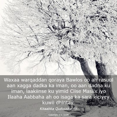 Picture 03 - Galatiya 1:1 SOM - Waxaa warqaddan qoraya Bawlos oo ah rasuul aan - Bible Verse Picture
