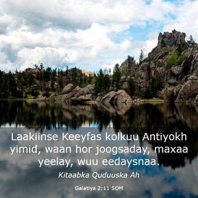 Picture 03 - Galatiya 2:11 SOM - Laakiinse Keeyfas kolkuu Antiyokh yimid, waan hor - Bible Verse Picture