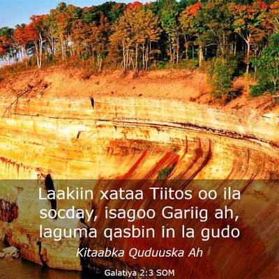 Picture 03 - Galatiya 2:3 SOM - Laakiin xataa Tiitos oo ila socday, isagoo Gariig - Bible Verse Picture