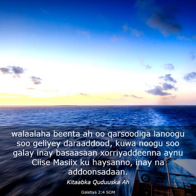 Picture 03 - Galatiya 2:4 SOM - walaalaha beenta ah oo qarsoodiga lanoogu soo - Bible Verse Picture