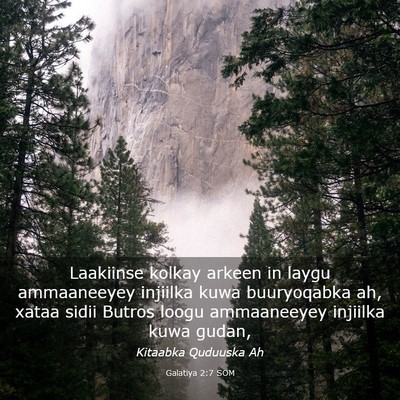 Picture 03 - Galatiya 2:7 SOM - Laakiinse kolkay arkeen in laygu ammaaneeyey - Bible Verse Picture