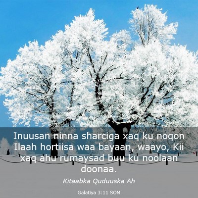 Picture 03 - Galatiya 3:11 SOM - Inuusan ninna sharciga xaq ku noqon Ilaah - Bible Verse Picture