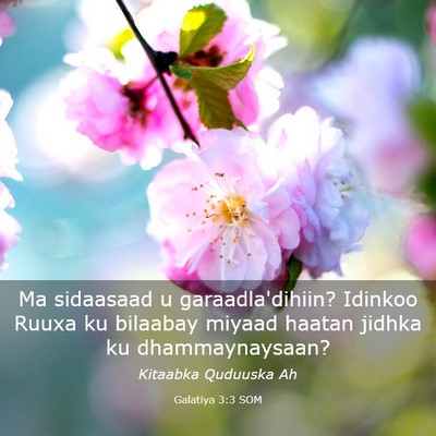 Picture 03 - Galatiya 3:3 SOM - Ma sidaasaad u garaadla'dihiin? Idinkoo Ruuxa ku - Bible Verse Picture