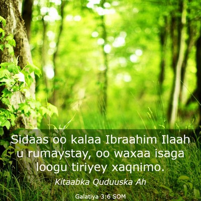 Picture 03 - Galatiya 3:6 SOM - Sidaas oo kalaa Ibraahim Ilaah u rumaystay, oo - Bible Verse Picture