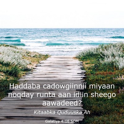 Picture 03 - Galatiya 4:16 SOM - Haddaba cadowgiinnii miyaan noqday runta aan - Bible Verse Picture