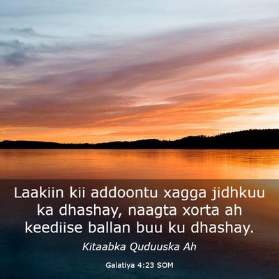 Picture 03 - Galatiya 4:23 SOM - Laakiin kii addoontu xagga jidhkuu ka dhashay, - Bible Verse Picture