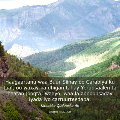 Picture 03 - Galatiya 4:25 SOM - Haagaartanu waa Buur Siinay oo Carabiya ku taal, - Bible Verse Picture