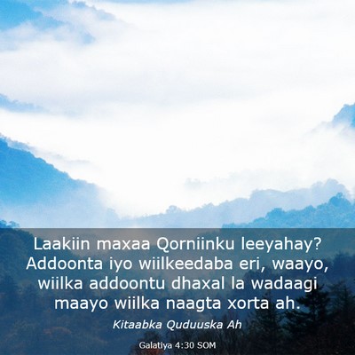 Picture 03 - Galatiya 4:30 SOM - Laakiin maxaa Qorniinku leeyahay? Addoonta iyo - Bible Verse Picture