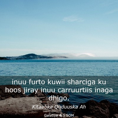 Picture 03 - Galatiya 4:5 SOM - inuu furto kuwii sharciga ku hoos jiray inuu - Bible Verse Picture