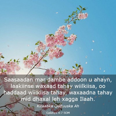 Picture 03 - Galatiya 4:7 SOM - Saasaadan mar dambe addoon u ahayn, laakiinse - Bible Verse Picture