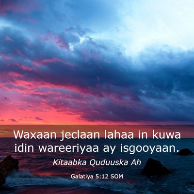 Picture 03 - Galatiya 5:12 SOM - Waxaan jeclaan lahaa in kuwa idin wareeriyaa ay - Bible Verse Picture