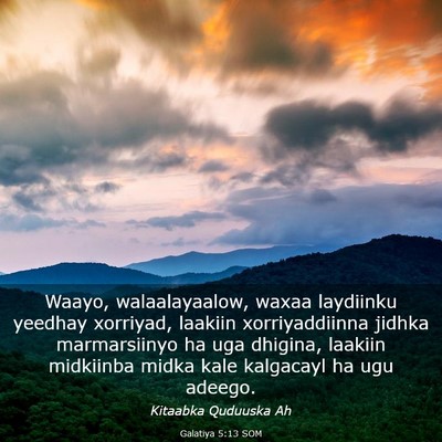 Picture 03 - Galatiya 5:13 SOM - Waayo, walaalayaalow, waxaa laydiinku yeedhay - Bible Verse Picture