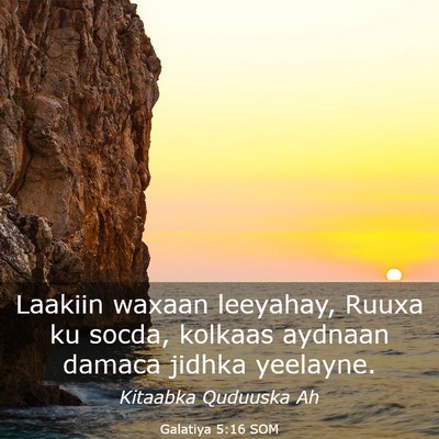 Picture 03 - Galatiya 5:16 SOM - Laakiin waxaan leeyahay, Ruuxa ku socda, kolkaas - Bible Verse Picture