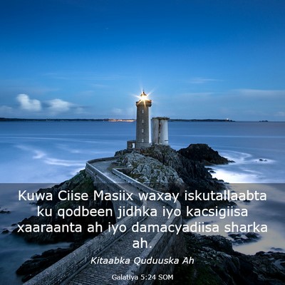 Picture 03 - Galatiya 5:24 SOM - Kuwa Ciise Masiix waxay iskutallaabta ku qodbeen - Bible Verse Picture