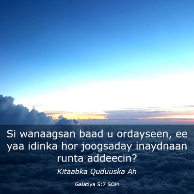 Picture 03 - Galatiya 5:7 SOM - Si wanaagsan baad u ordayseen, ee yaa idinka hor - Bible Verse Picture