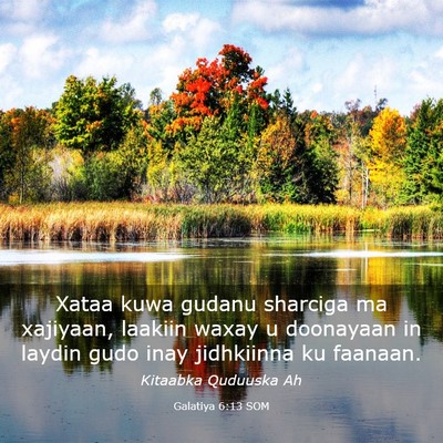 Picture 03 - Galatiya 6:13 SOM - Xataa kuwa gudanu sharciga ma xajiyaan, laakiin - Bible Verse Picture